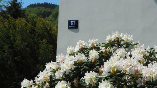 Hostal Holiday House Mal� Sk�la