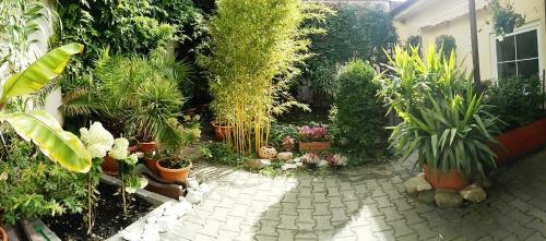 Apartamento Penzion Exotic