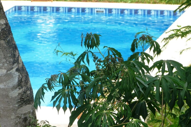 Rainforest Hotel Selva