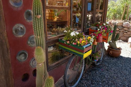 Bed & Breakfast Hostal Posta De Purmamarca