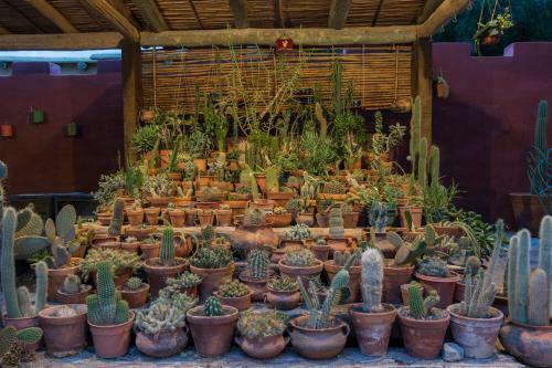 Bed & Breakfast Hostal Posta De Purmamarca