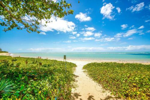 Apartamento Residence P� Na Areia