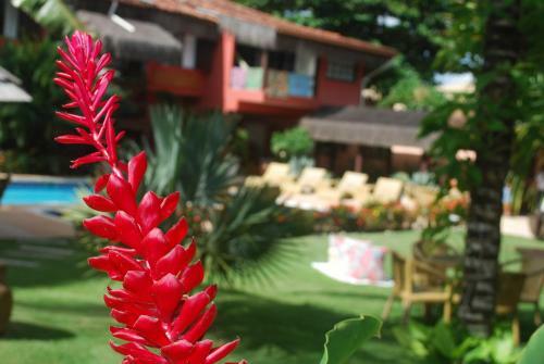 Hostal Hotel Pousada Saudosa Maloca