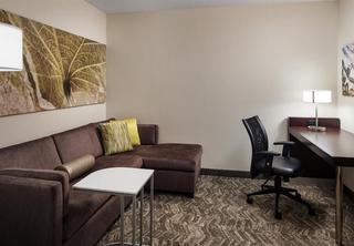 Hotel Springhill Suites Bakersfield