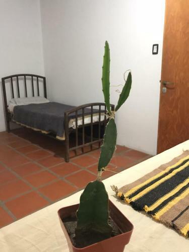 Hostal Posada Naturista Arco Iris