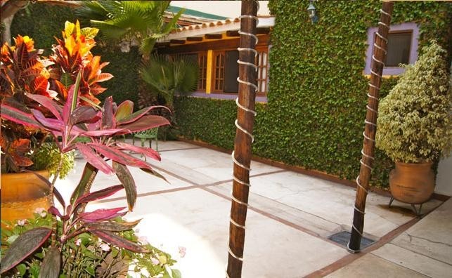 Hotel Suites Colibri