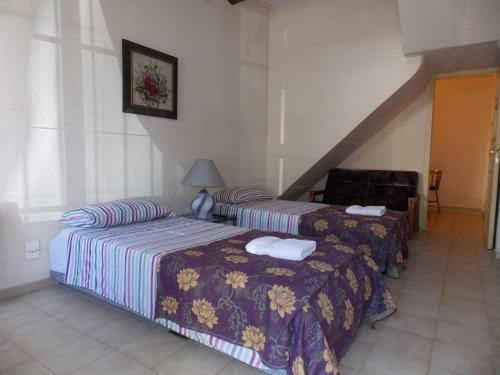 Apartamentos Virginia Departamentos