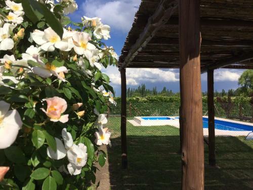 Lodge Caba�as La Cosecha