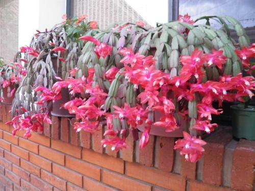 Posada Hosteria Suyana