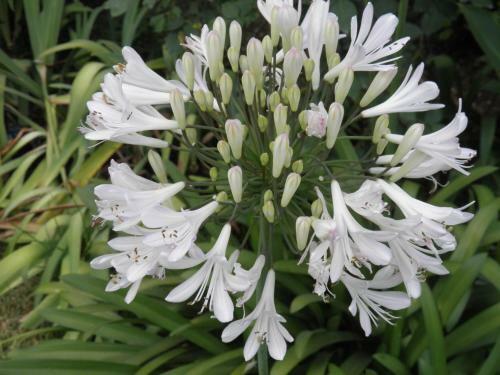 Posada Hosteria Suyana