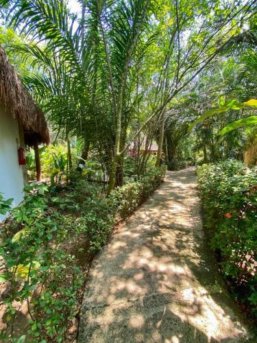 Hotel Piedra De Agua Palenque