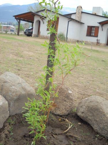 Lodge Caba�as Ernes Huasi