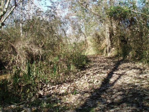 Lodge Isla Chamam�