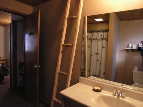 Goldmine Lodge & Black Bear Cottages