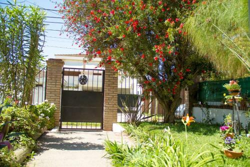 Bed & Breakfast Arrullo De Luna