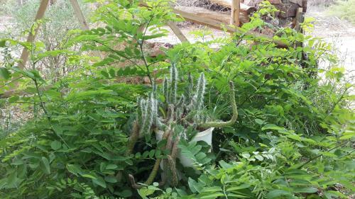 Apartamento Rancho Por Fin