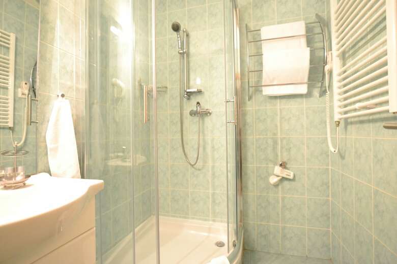 Apartment Hybernska