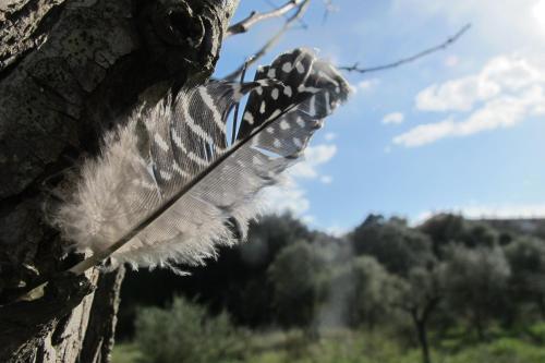 Agroturismo Can Torna