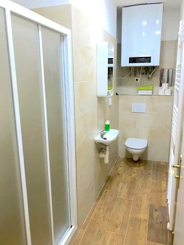 Janalex Apartments Wenceslas Square