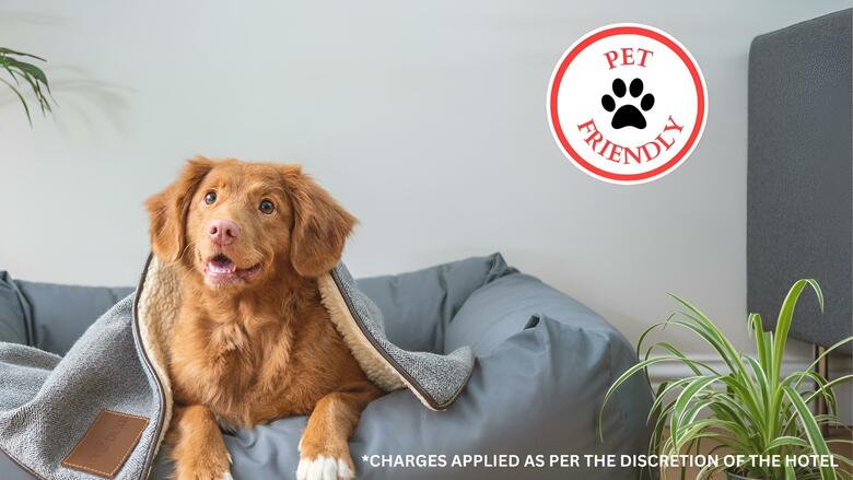 Al Otro Lado Del Rio Hotel