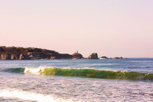 Albergue One Love Hostal Puerto Escondido