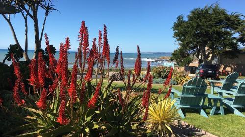 Hotel Cambria Shores Inn