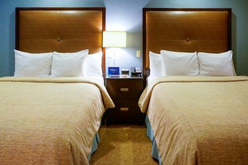 Posada Blue Dolphin Inn