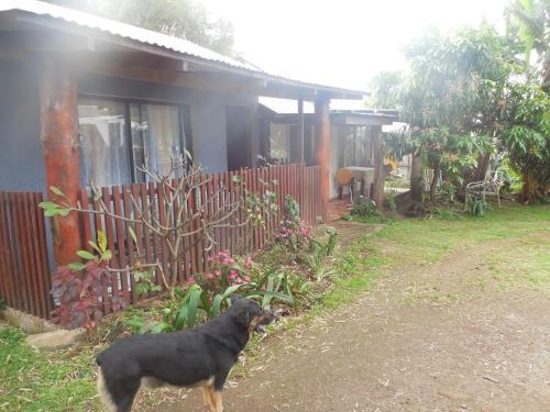 Hostal Tumu VI Pakarati