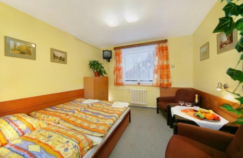 Hotel Stary Mlyn