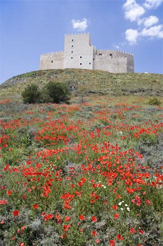 Hotel Residencia Real Del Castillo de Curiel