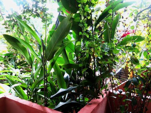 Bed & Breakfast Para Ti Guesthouse