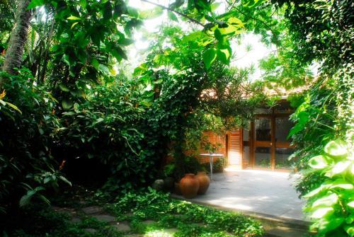 Bed & Breakfast Para Ti Guesthouse
