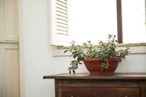 Albergue Ipanema Beach House