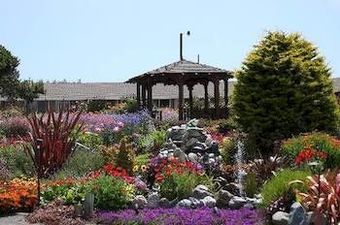 Surf Motel And Gardens