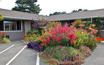 Surf Motel And Gardens