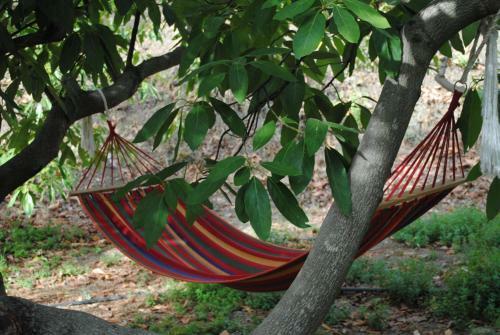 Agroturismo Cortijo Lagar De Luisa
