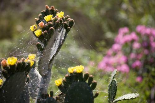 Agroturismo Cortijo Lagar De Luisa