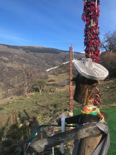 Agroturismo Cortijo Los Iberos "casa Ibero"