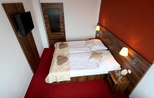 Hotel Palc�t