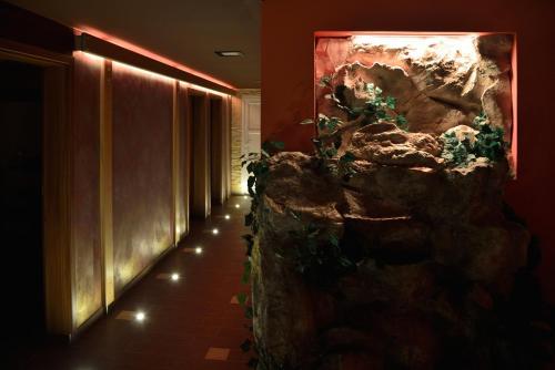 Hotel Palc�t