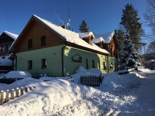 Hostal Penzion 103