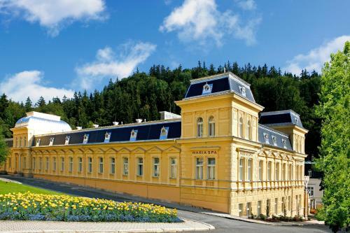 Hotel Ensana Centr�ln� L�zn? - Maria Spa