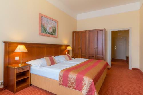 Hotel Ensana Centr�ln� L�zn? - Maria Spa