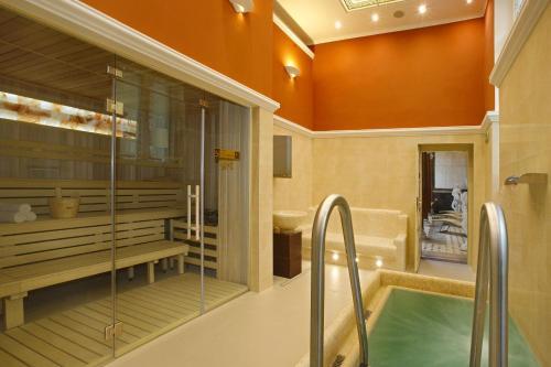 Hotel Ensana Centr�ln� L�zn? - Maria Spa