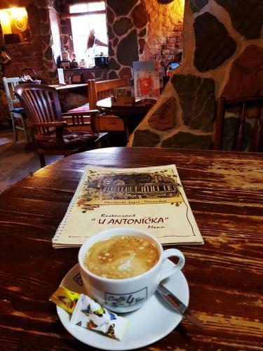Hostal Penzion U Antonickova Pramene