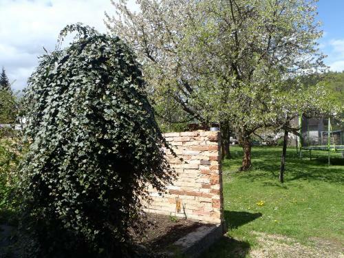 Hostal Penzion Villa Marion