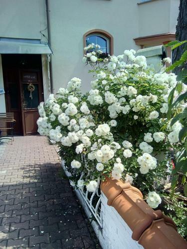 Hostal Penzion Villa Marion