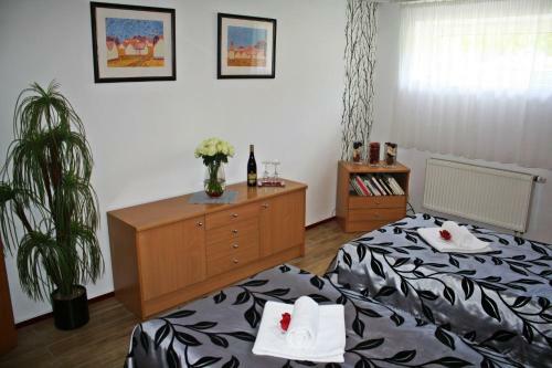 Hostal Penzion V Hlubok�