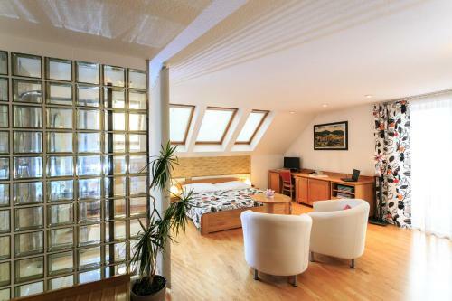 Hostal Penzion V Hlubok�