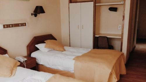 Hotel Plaza Los Andes